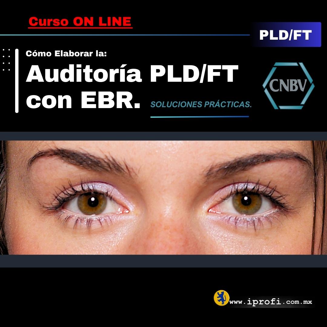 Cómo hacer la auditoría PLD